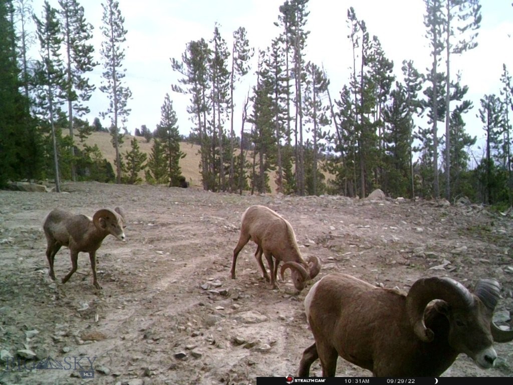 Anna Indian Creek Rd Property Photo 1