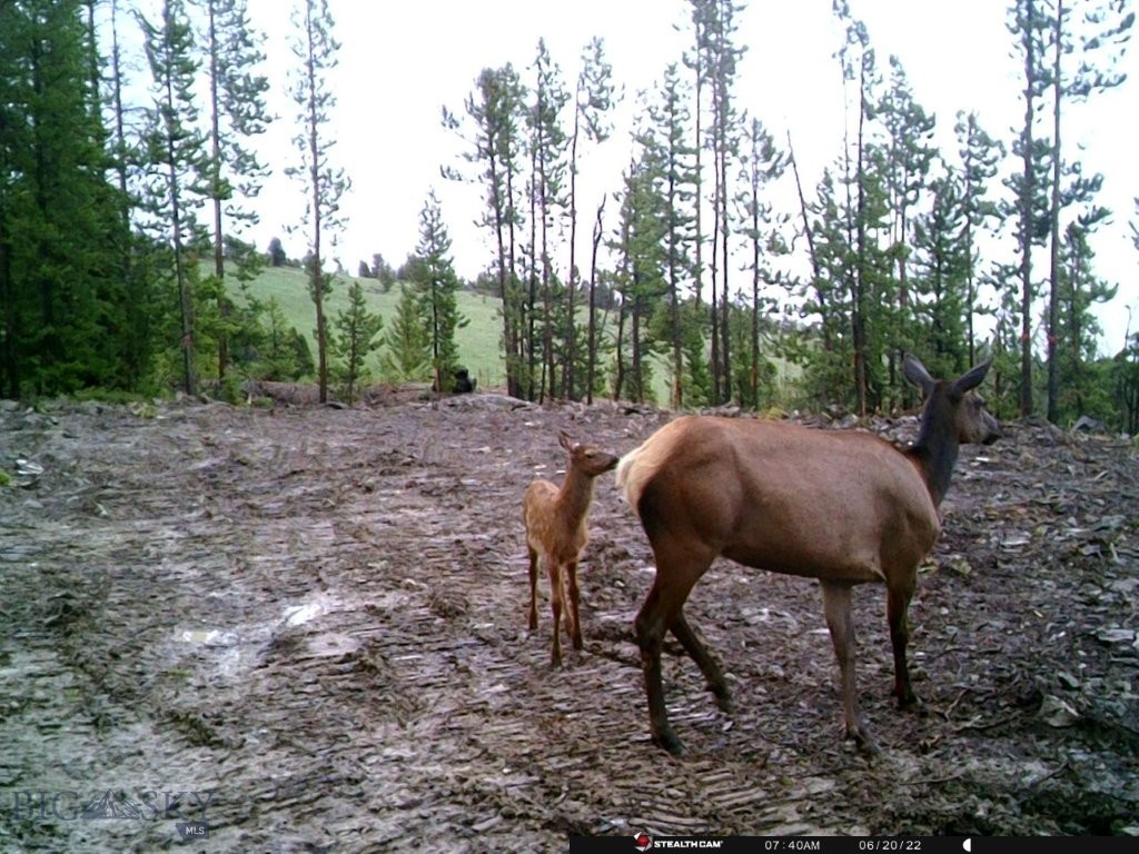 Anna Indian Creek Rd Property Photo 3