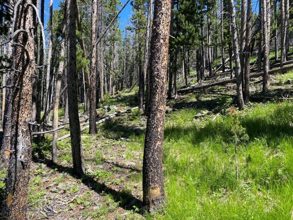 Anna Indian Creek Rd Property Photo 5