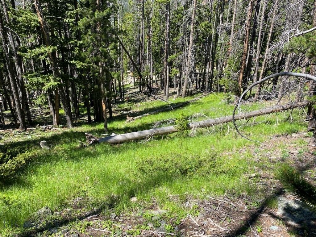 Anna Indian Creek Rd Property Photo 7