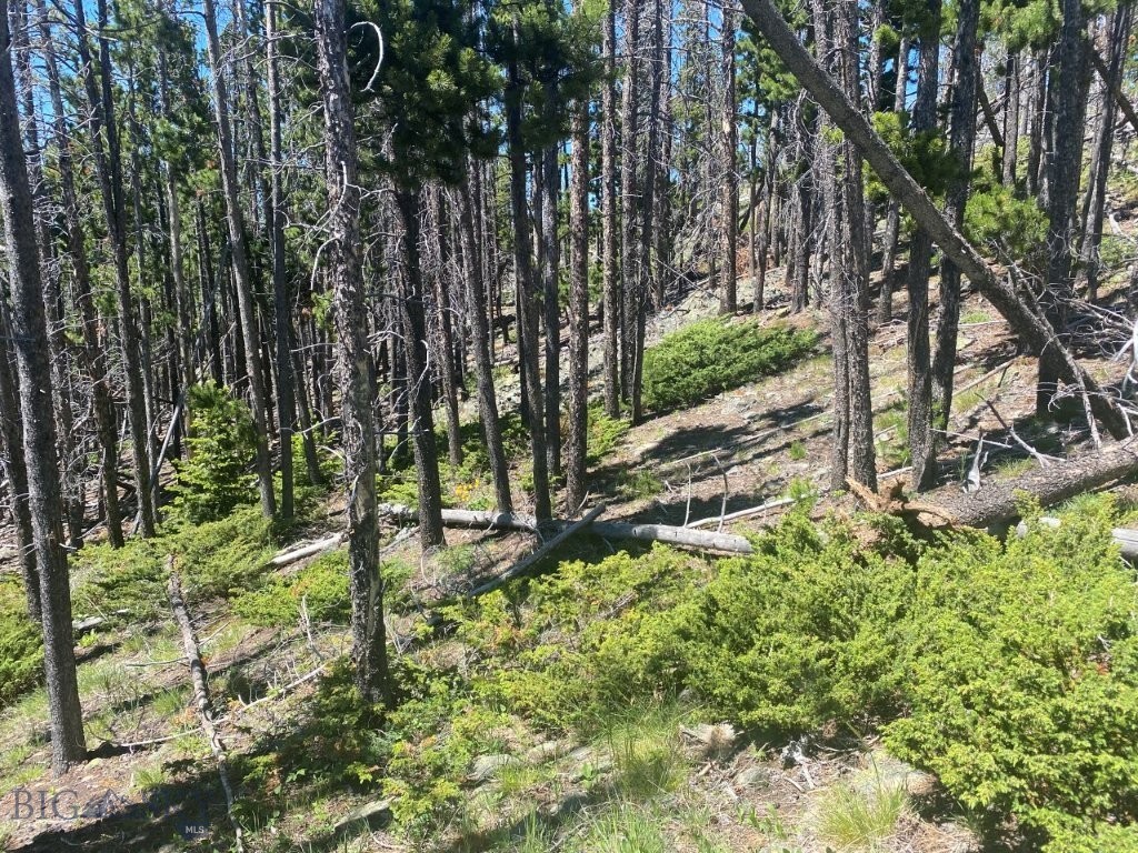 Anna Indian Creek Rd Property Photo 19