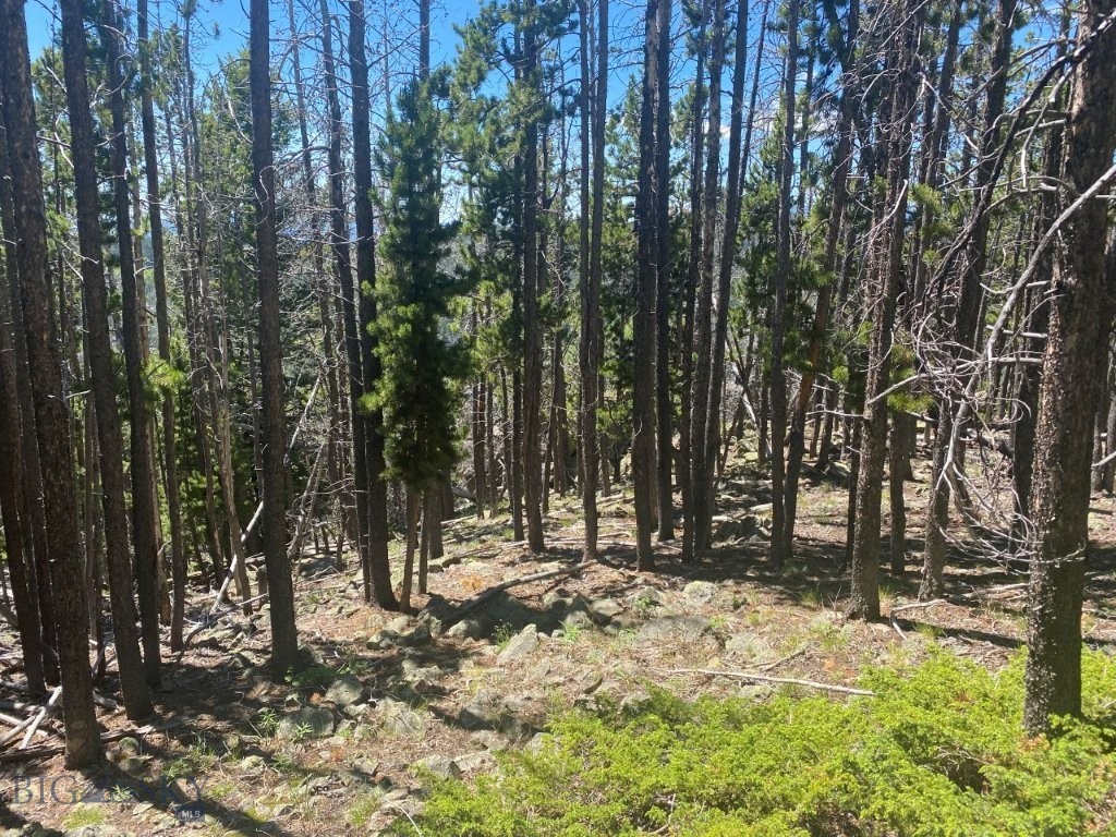 Anna Indian Creek Rd Property Photo 20