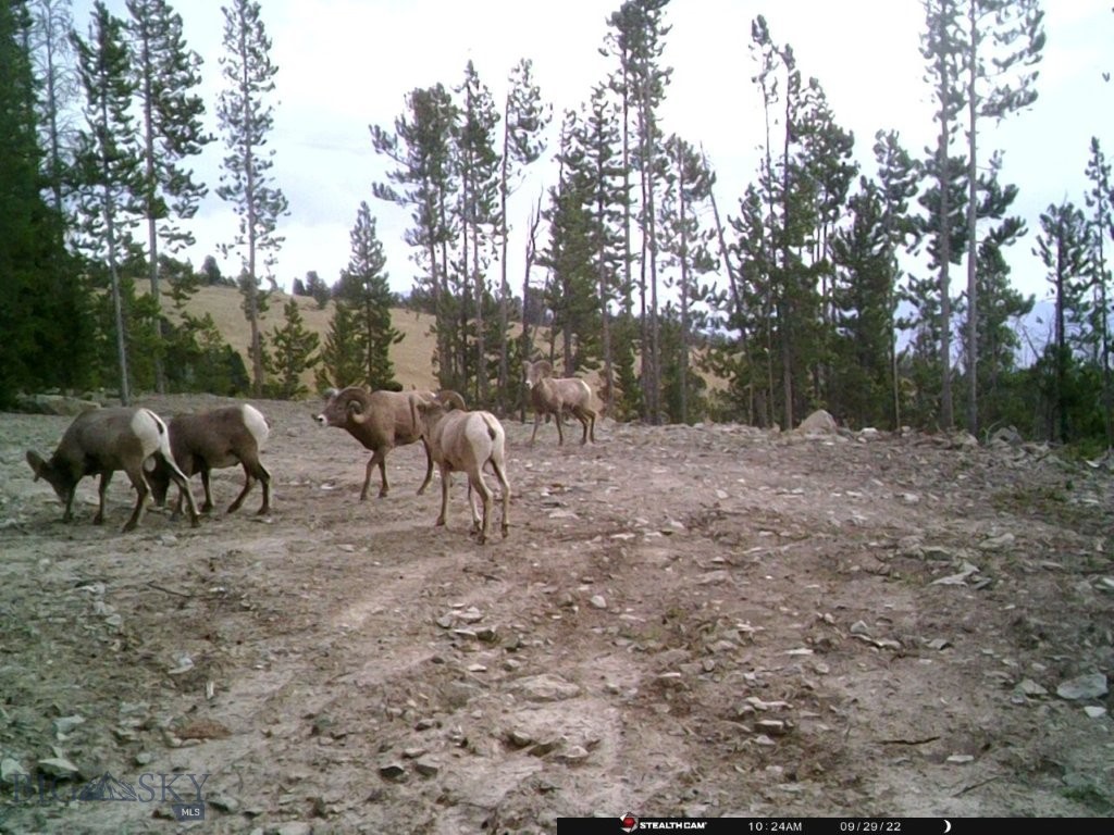 Anna Indian Creek Rd Property Photo 29