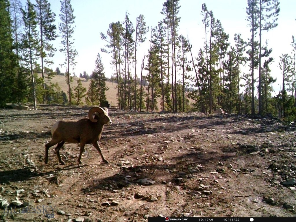 Anna Indian Creek Rd Property Photo 31