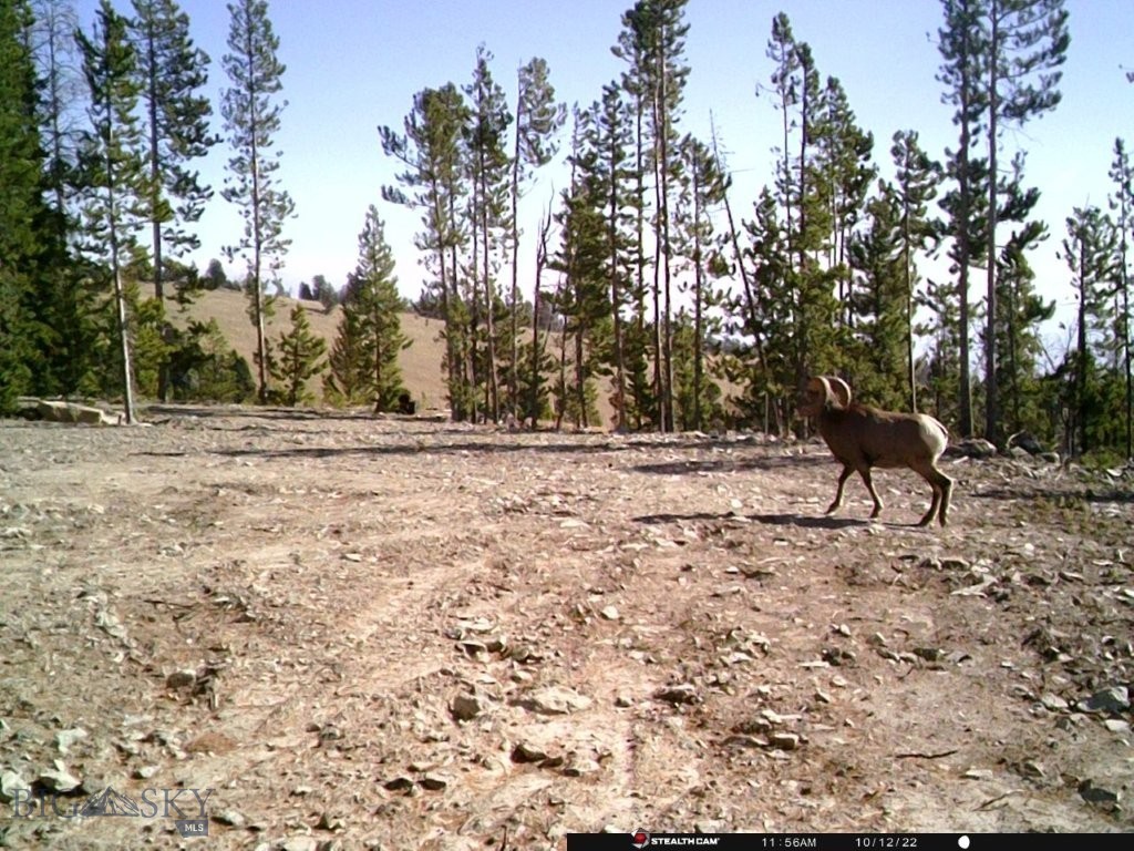 Anna Indian Creek Rd Property Photo 32