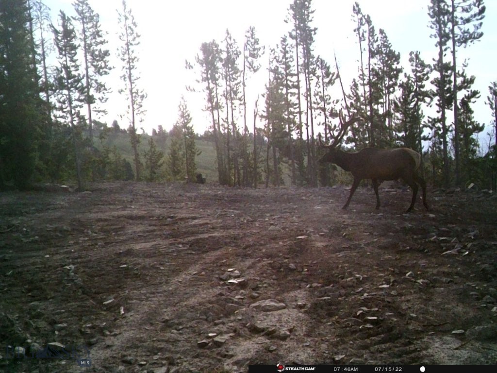 Anna Indian Creek Rd Property Photo 33