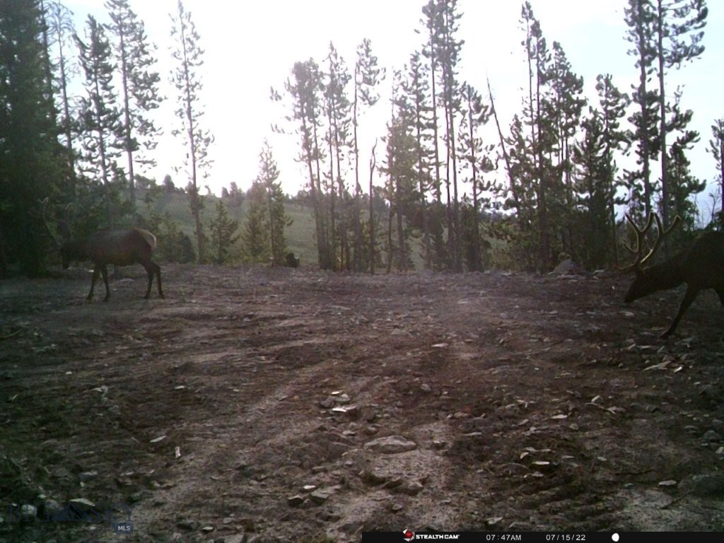 Anna Indian Creek Rd Property Photo 34