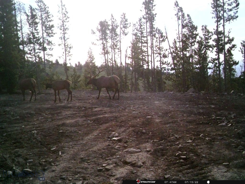 Anna Indian Creek Rd Property Photo 35