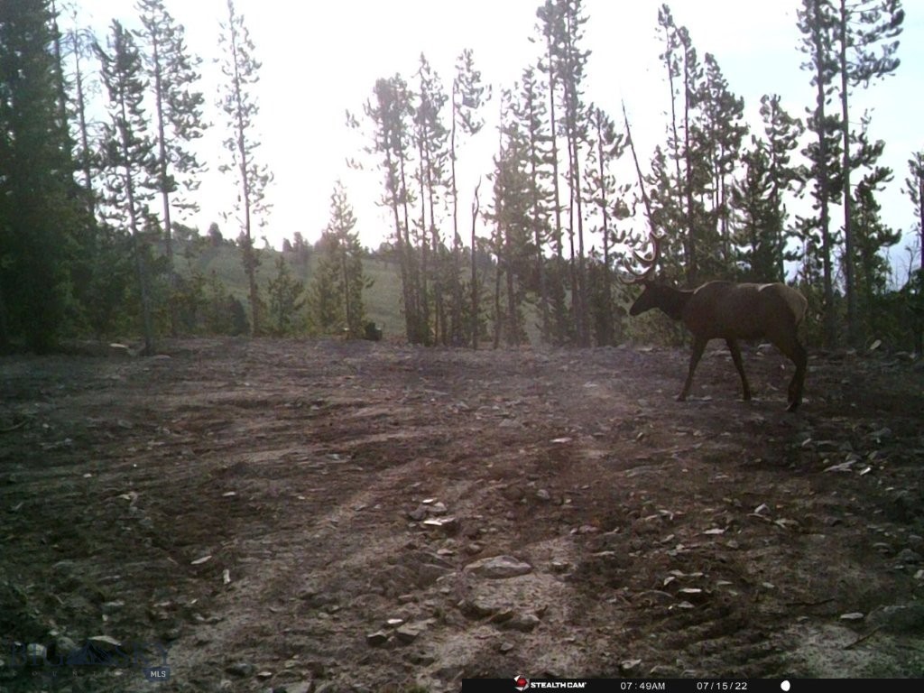 Anna Indian Creek Rd Property Photo 36