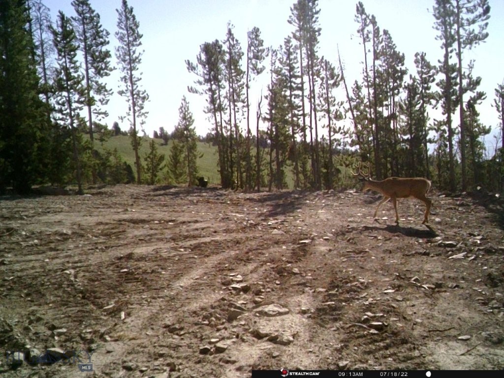 Anna Indian Creek Rd Property Photo 37