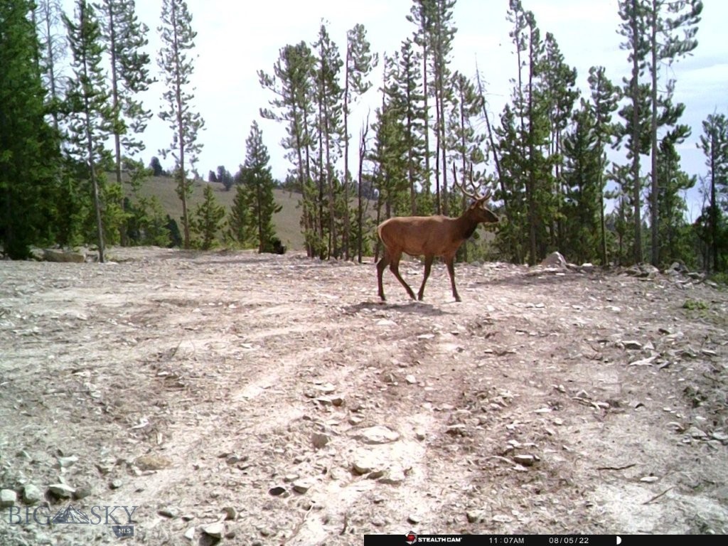 Anna Indian Creek Rd Property Photo 38