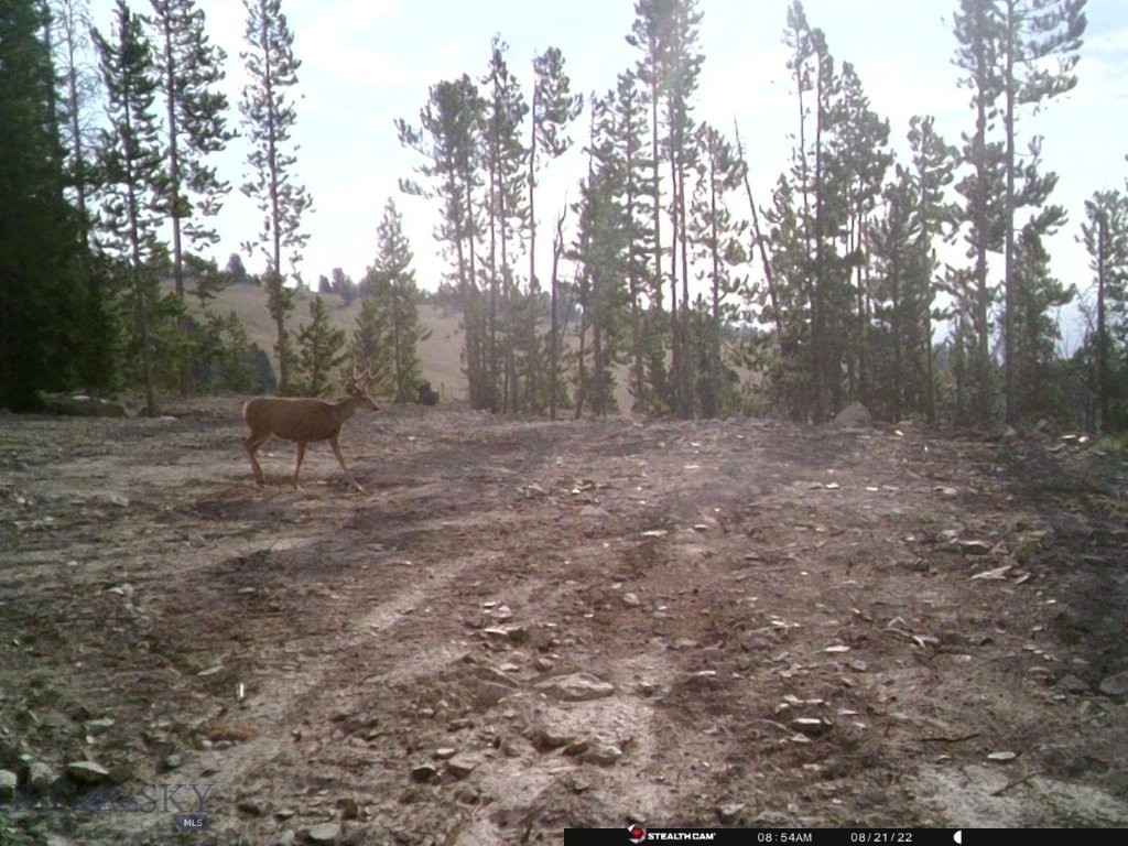 Anna Indian Creek Rd Property Photo 39