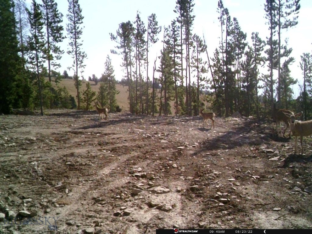 Anna Indian Creek Rd Property Photo 40