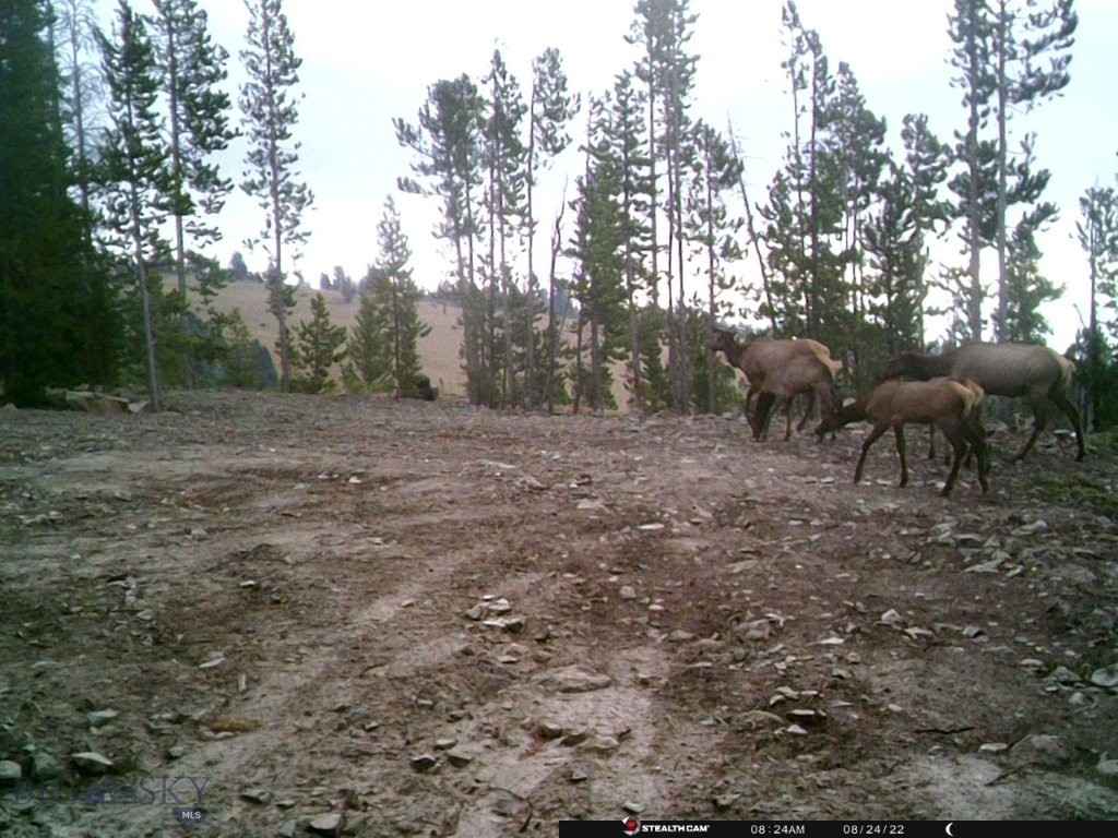 Anna Indian Creek Rd Property Photo 41