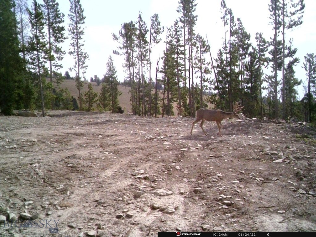 Anna Indian Creek Rd Property Photo 42