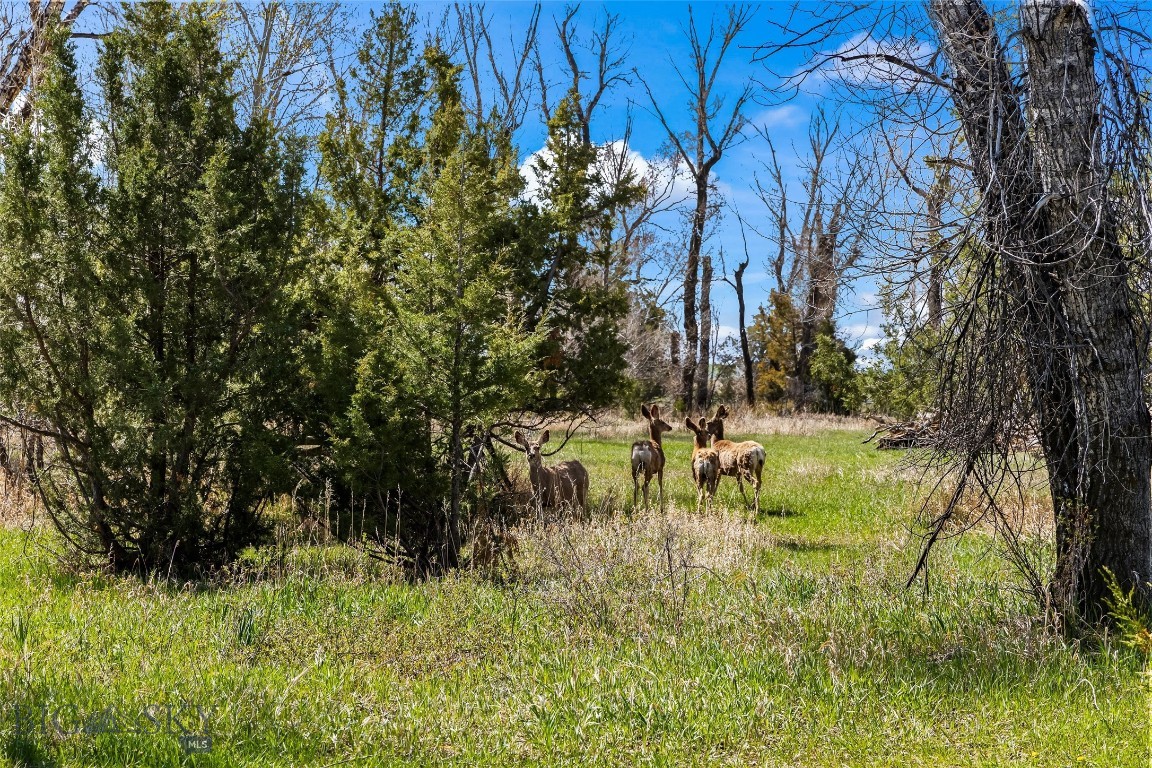 460 Lower Deep Creek Road Property Photo 40