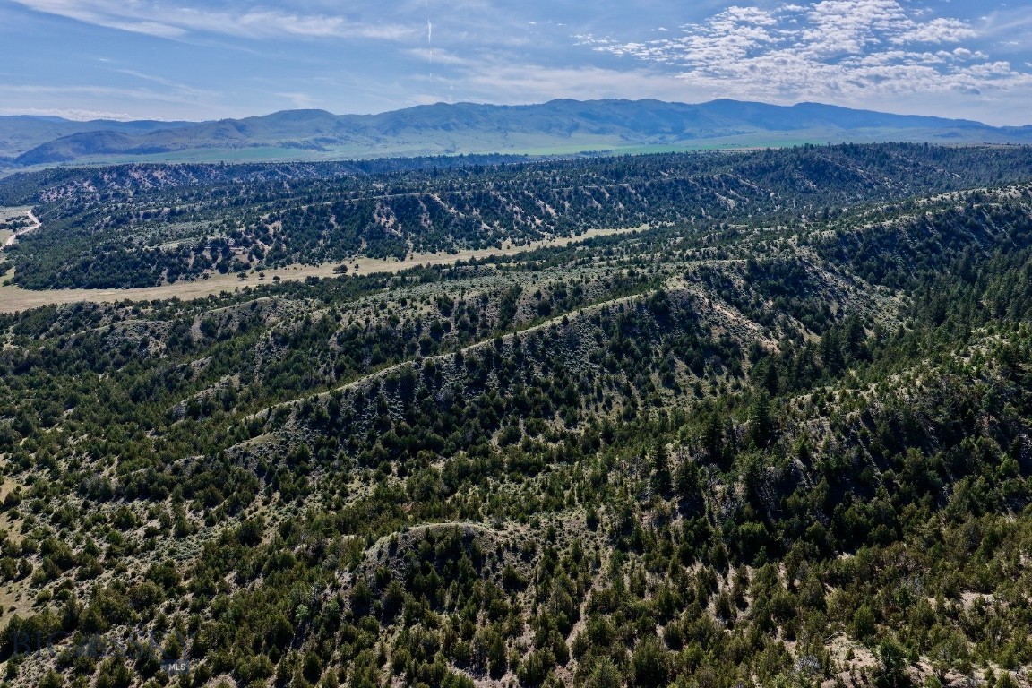 Tbd Dry Creek Road Property Photo 1