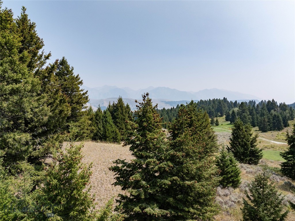 116 Elk Ridge Road Property Photo 60