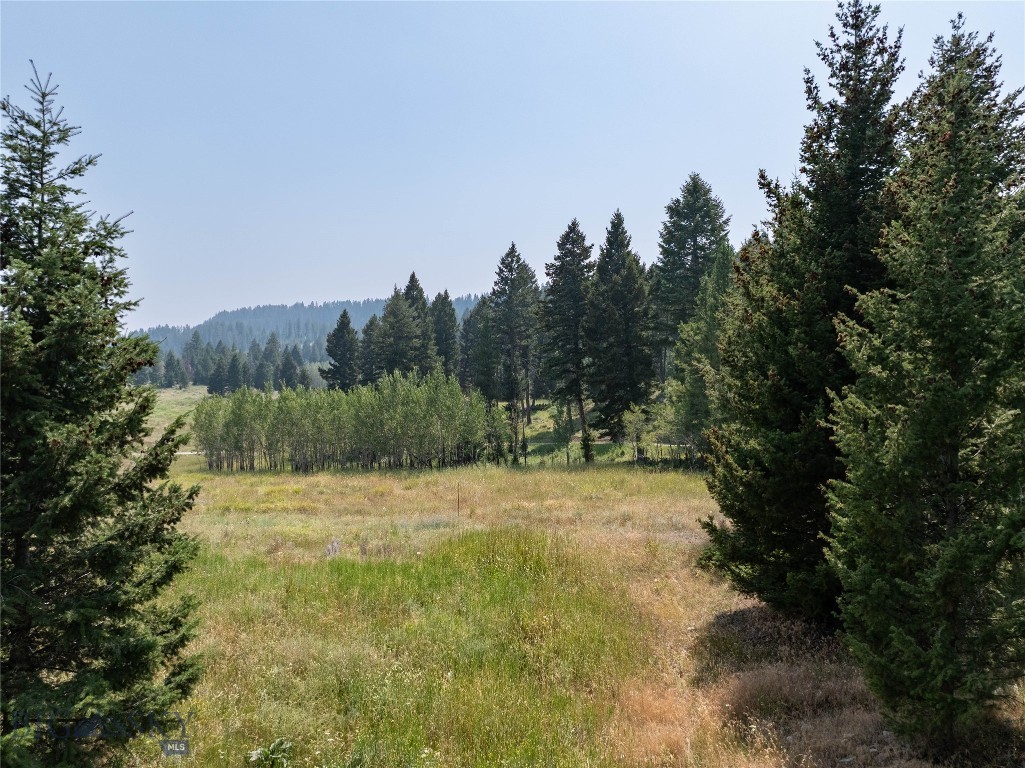 116 Elk Ridge Road Property Photo 61