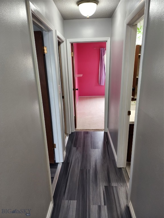 1249 Park Garden Road Property Photo 17