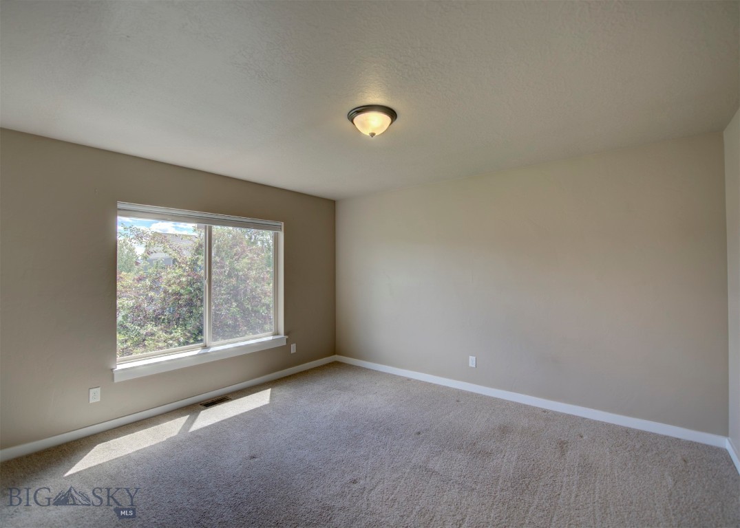 246 Mammoth Fork Drive Property Photo 21
