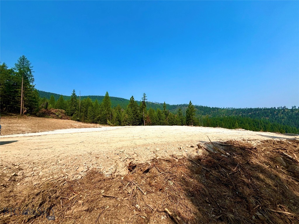 0 W Fork Combest Creek Road Property Photo 6