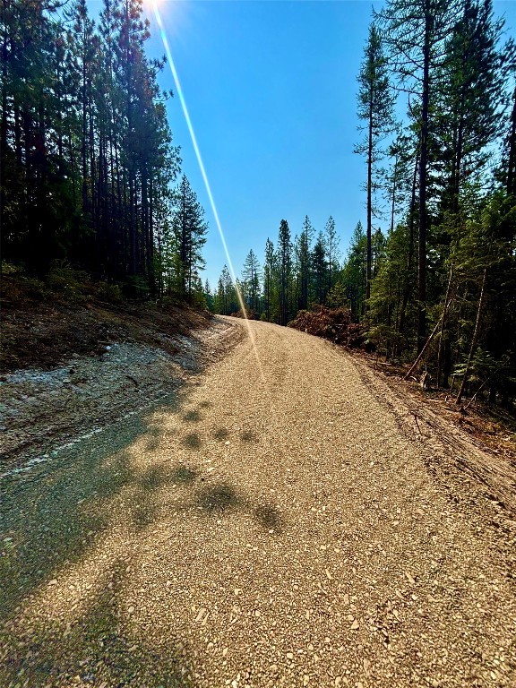 0 W Fork Combest Creek Road Property Photo 14