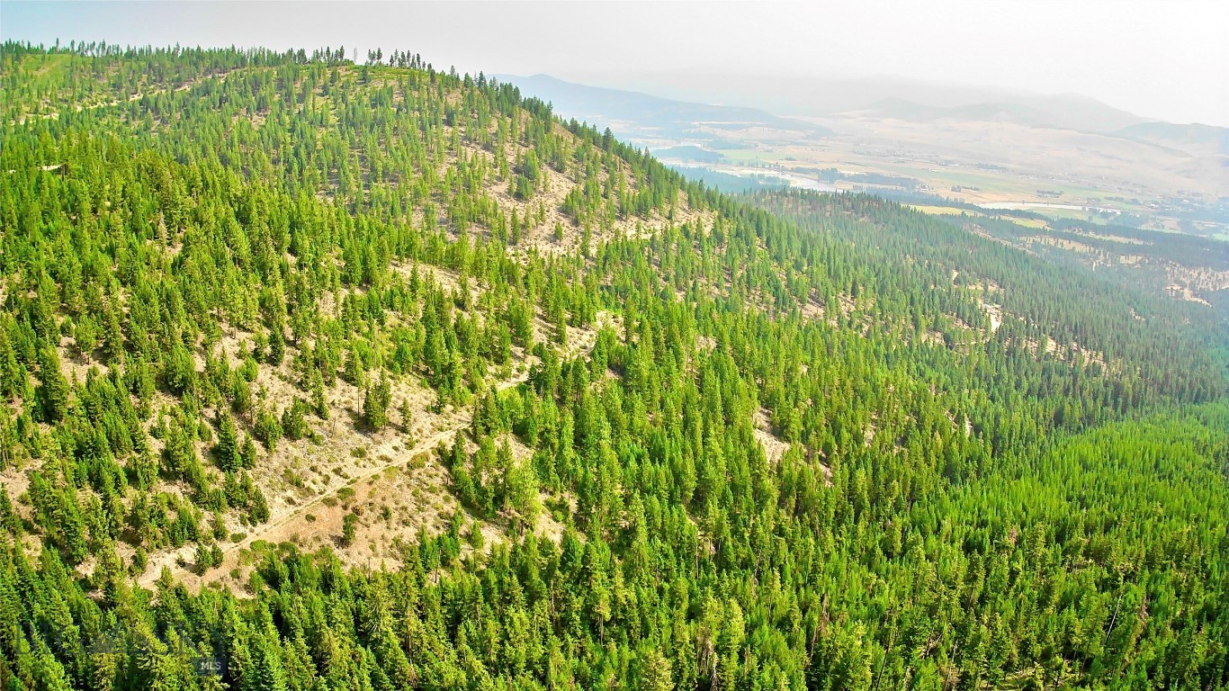 0 W Fork Combest Creek Road Property Photo 30