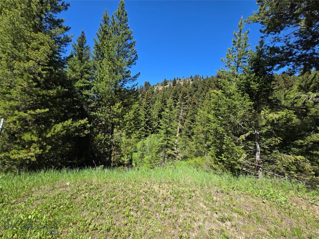 Tbd Woodchuck Property Photo 5