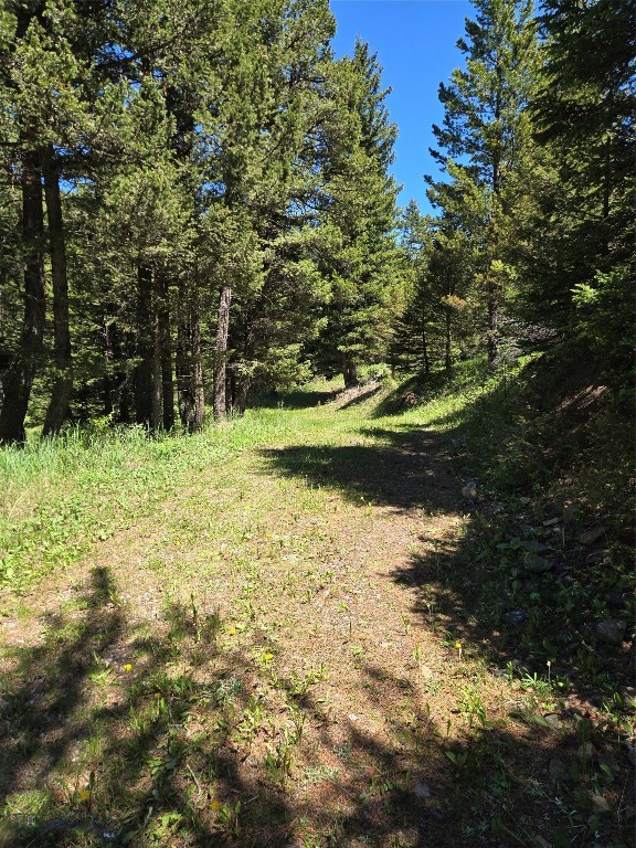 Tbd Woodchuck Property Photo 11