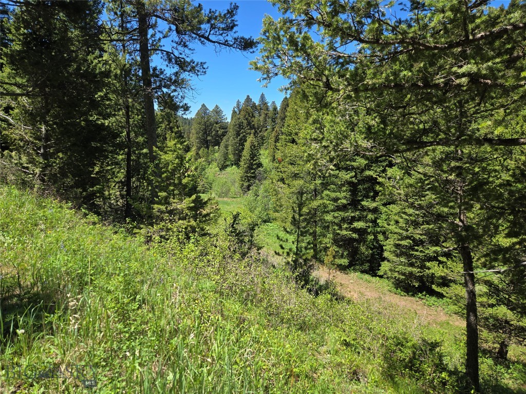 Tbd Woodchuck Property Photo 13