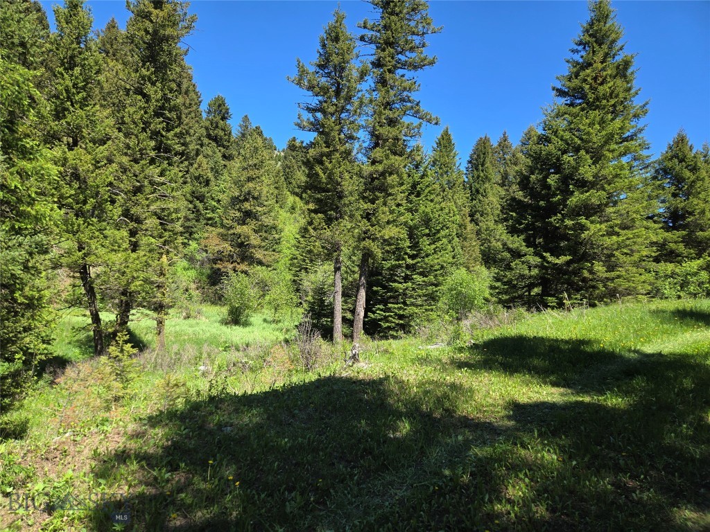 Tbd Woodchuck Property Photo 14
