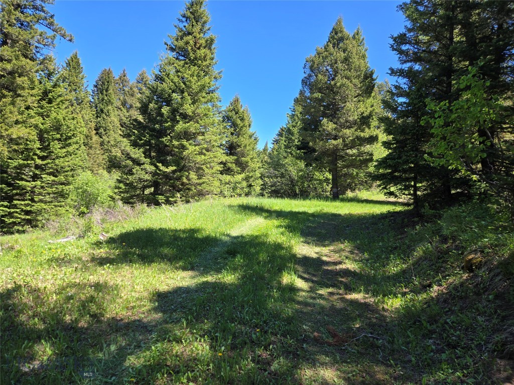 Tbd Woodchuck Property Photo 15