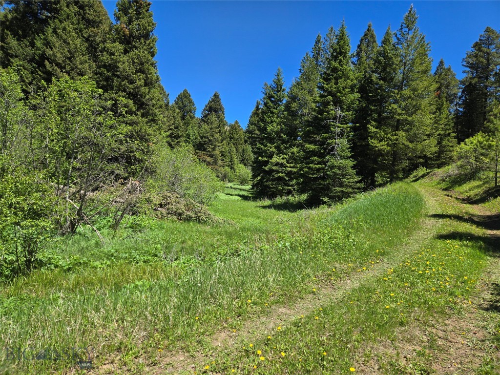 Tbd Woodchuck Property Photo 17