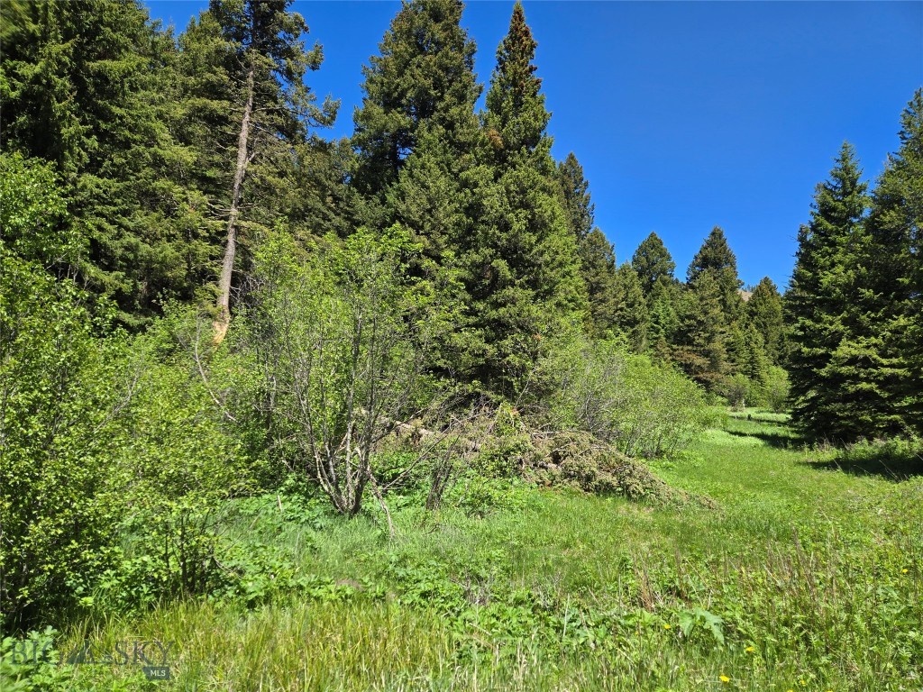 Tbd Woodchuck Property Photo 18