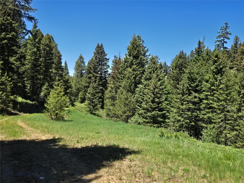 Tbd Woodchuck Property Photo 20