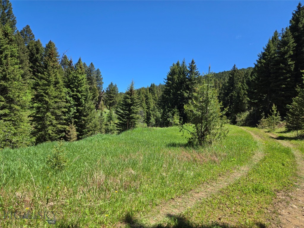 Tbd Woodchuck Property Photo 21