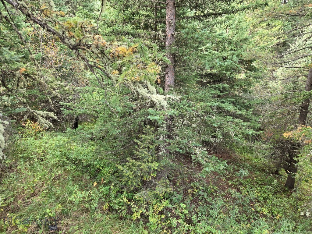 Tbd Woodchuck Property Photo 31