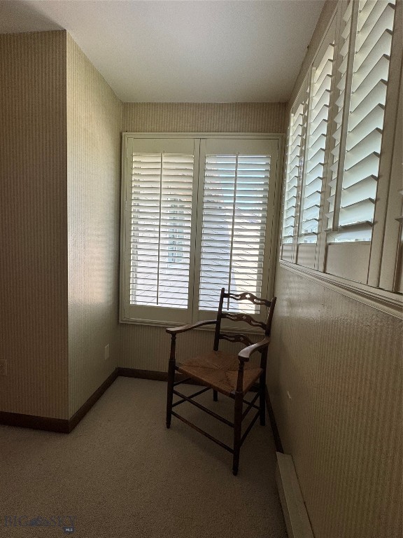 10 Gallatin Drive C Property Photo 18