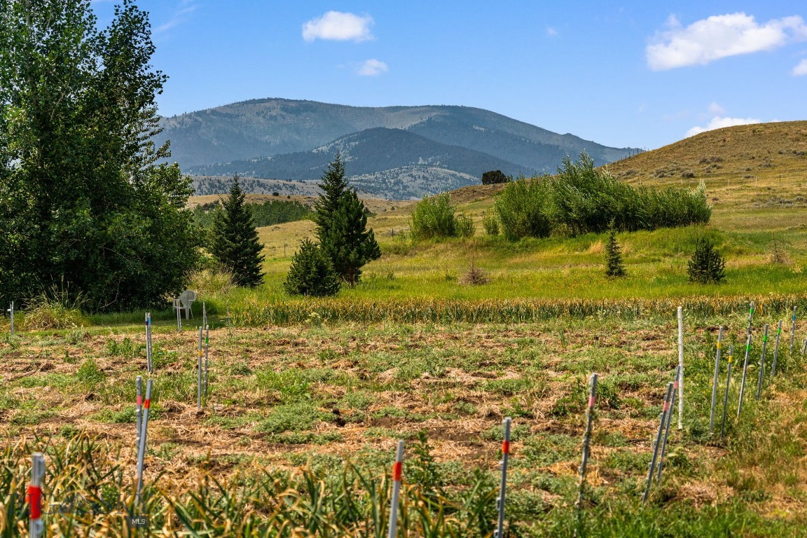 426 Antelope Creek Property Photo 4
