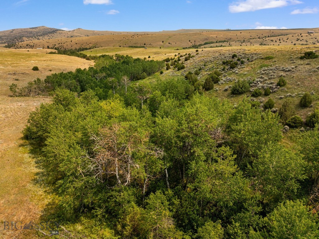 426 Antelope Creek Property Photo 10