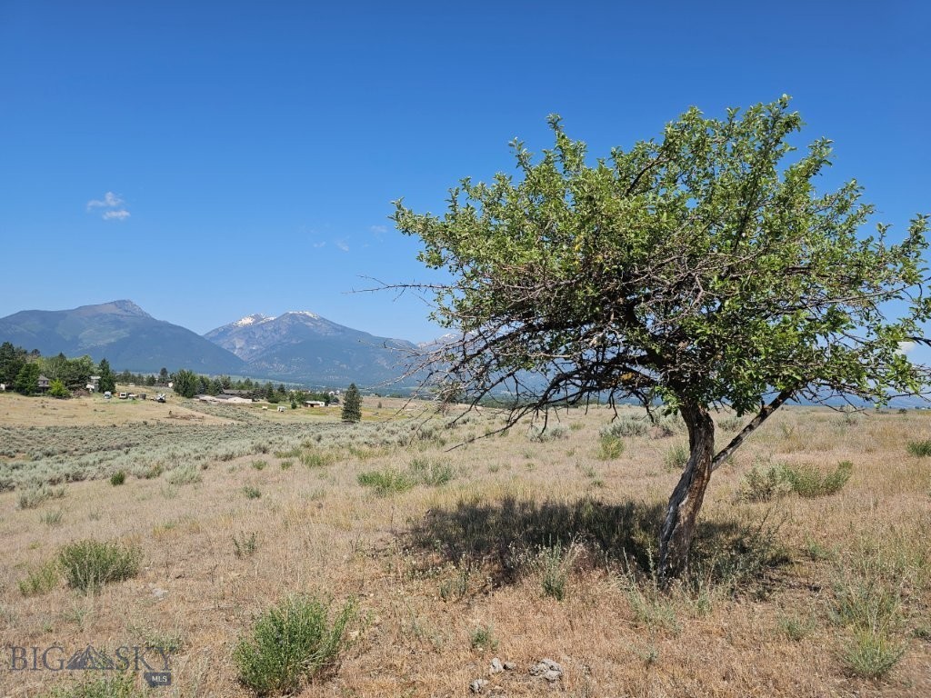 Tbd Cougar Lane Property Photo 4