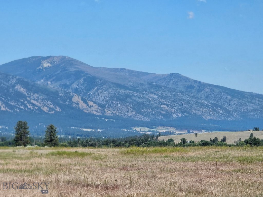 Tbd Cougar Lane Property Photo 6