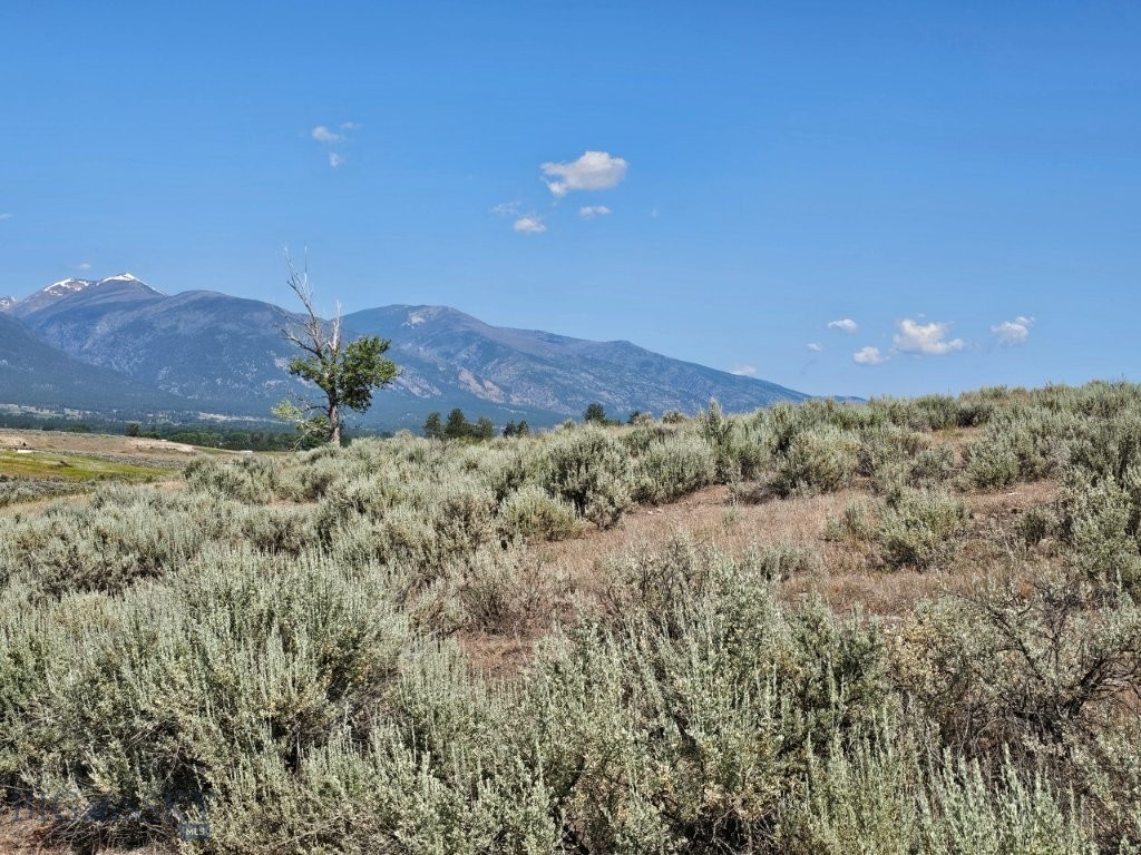 Tbd Cougar Lane Property Photo 13