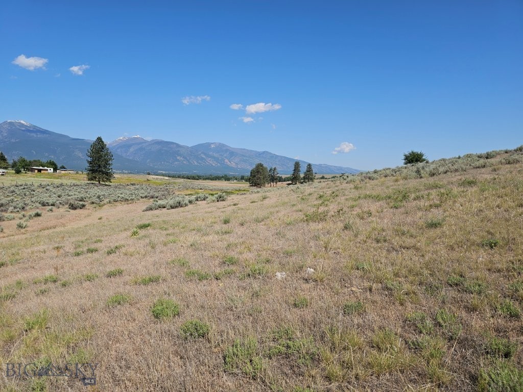 Tbd Cougar Lane Property Photo 15
