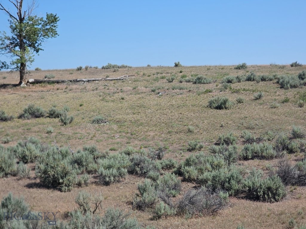 Tbd Cougar Lane Property Photo 18