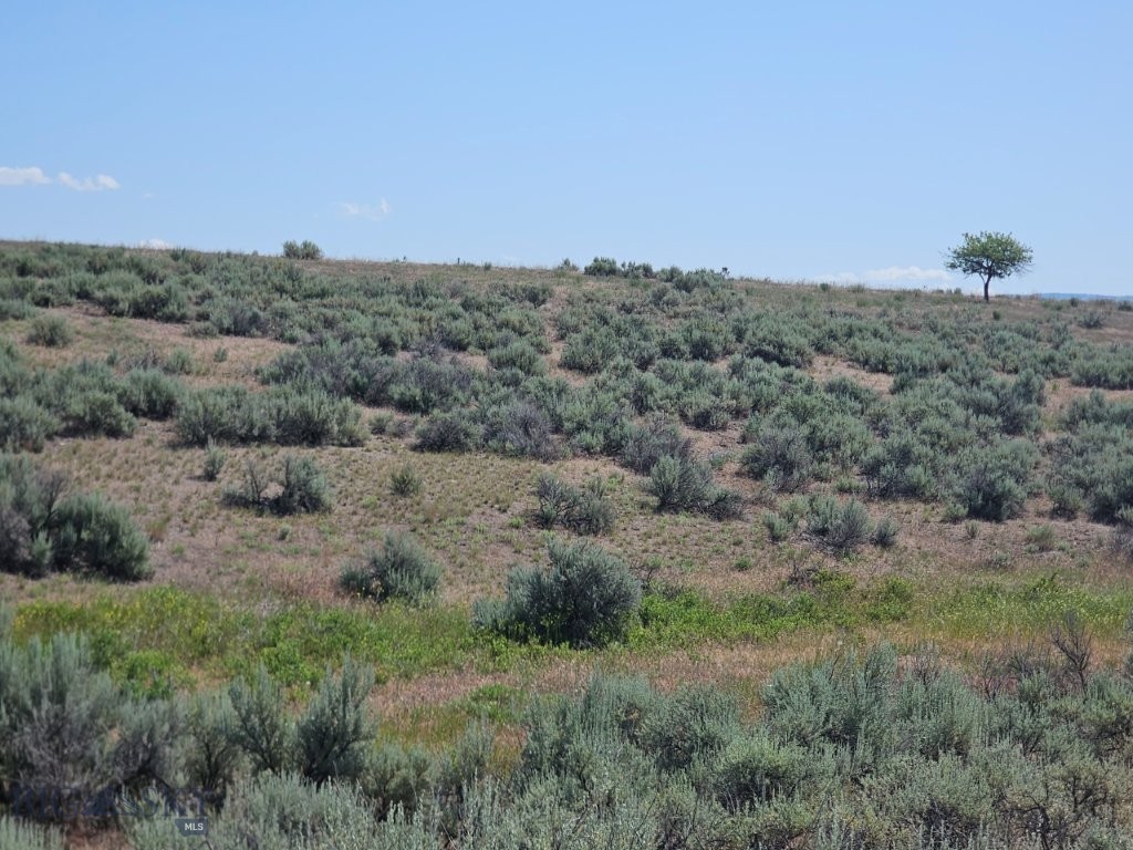Tbd Cougar Lane Property Photo 21