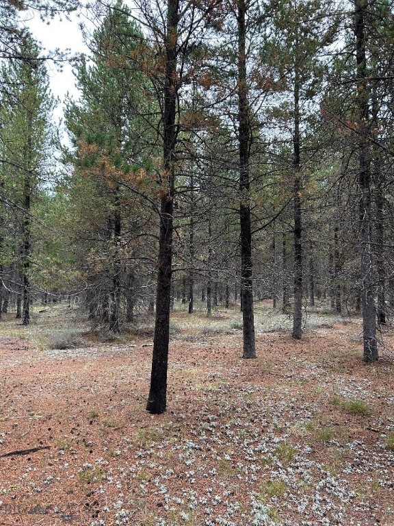 726 N Hayden Street Property Photo 20