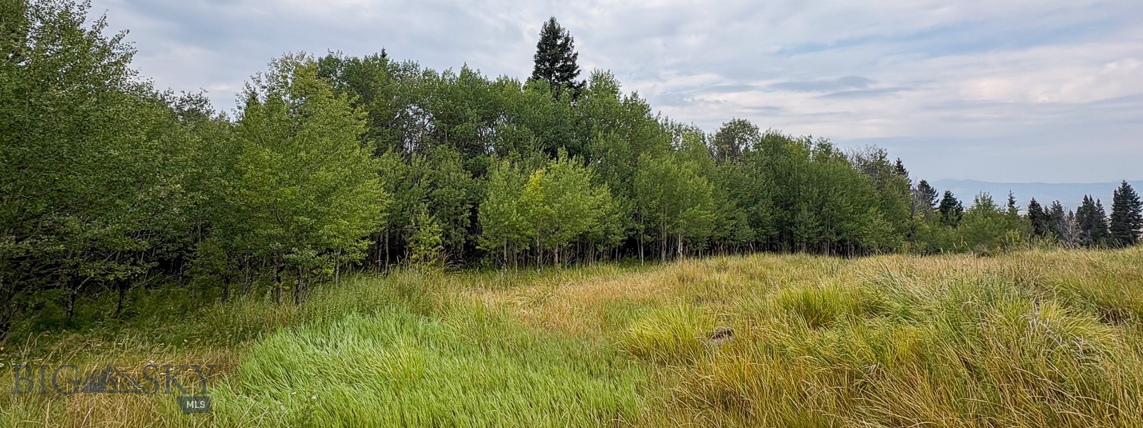 Tbd S Valley Road Property Photo 2