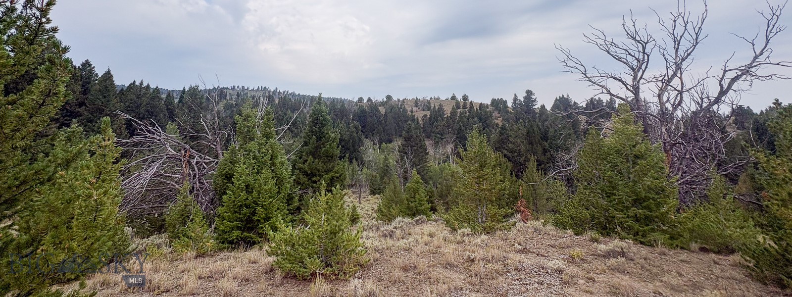 Tbd S Valley Road Property Photo 6